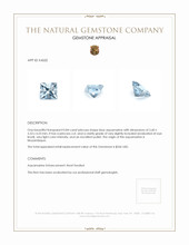 0.84 Ct. Aquamarine from Mozambique Appraisal