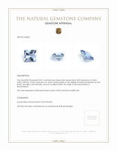 0.87 Ct. Aquamarine from Mozambique Appraisal