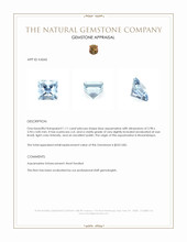 1.11 Ct. Aquamarine from Mozambique Appraisal