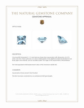 1.12 Ct. Blue Aquamarine from Mozambique Appraisal