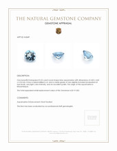 0.35 Ct. Aquamarine from Mozambique Appraisal