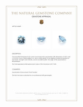 0.35 Ct. Aquamarine from Mozambique Appraisal