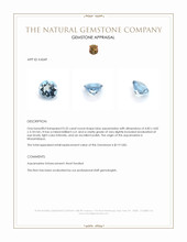 0.35 Ct. Aquamarine from Mozambique Appraisal