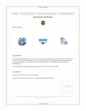 0.41 Ct. Aquamarine from Mozambique Appraisal