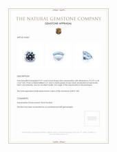 0.91 Ct. Aquamarine from Mozambique Appraisal
