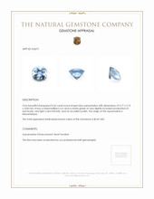 0.65 Ct. Aquamarine from Mozambique Appraisal