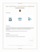 0.47 Ct. Aquamarine from Mozambique Appraisal