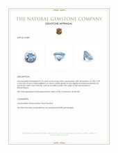 0.76 Ct. Aquamarine from Mozambique Appraisal