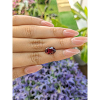 4.87 Ct. Garnet from Ceylon (Sri Lanka) Life Style