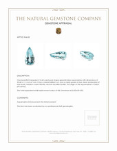 10.68 Ct. Aquamarine from Ceylon (Sri Lanka) Appraisal