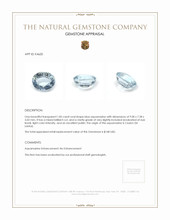 1.85 Ct. Aquamarine from Ceylon (Sri Lanka) Appraisal