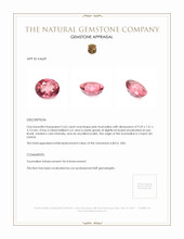 2.62 Ct. Tourmaline from Ceylon (Sri Lanka) Appraisal
