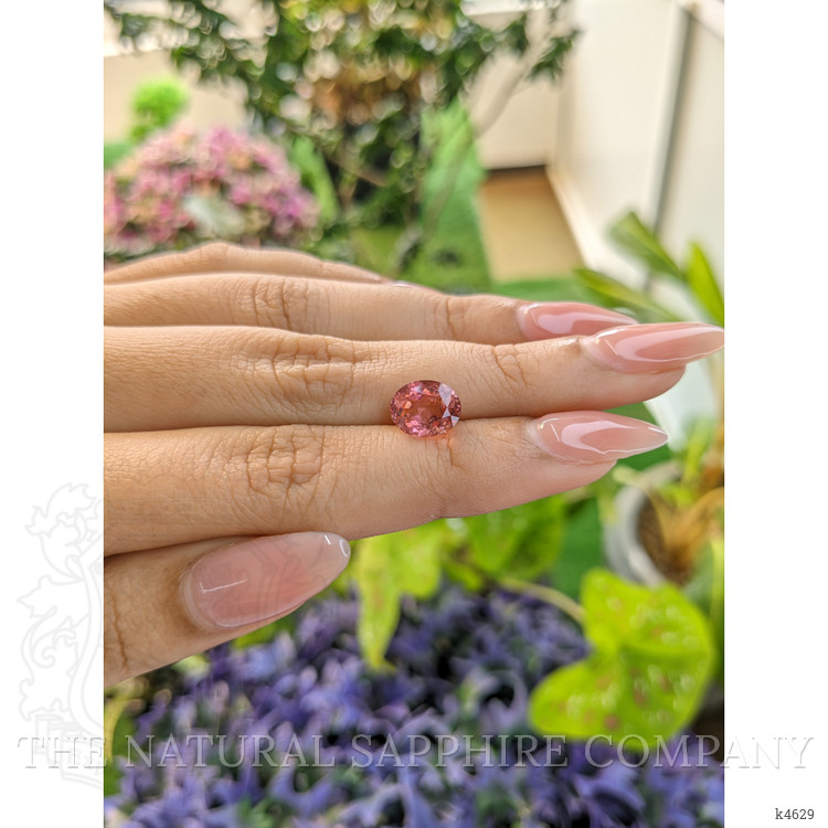 2.62 Ct. Tourmaline from Ceylon (Sri Lanka)