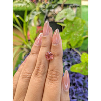 2.62 Ct. Tourmaline from Ceylon (Sri Lanka) Life Style