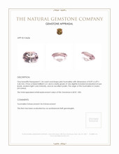 1.34 Ct. Tourmaline from Ceylon (Sri Lanka) Appraisal