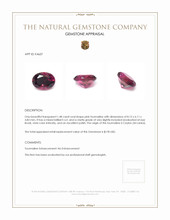 1.48 Ct. Tourmaline from Ceylon (Sri Lanka) Appraisal