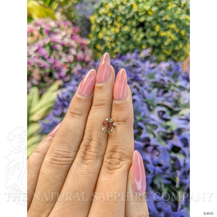 2.47 Ct. Tourmaline from Ceylon (Sri Lanka)