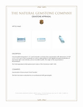 1.57 Ct. Aquamarine from Mozambique Appraisal