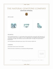 Jewelry Appraisal
