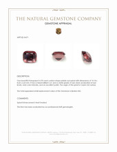 4.78 Ct. Pinkish Red Spinel from Ceylon (Sri Lanka) Appraisal