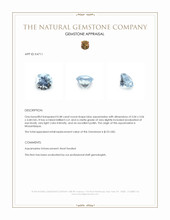 0.48 Ct. Aquamarine from Mozambique Appraisal