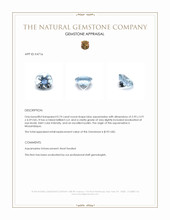 0.74 Ct. Aquamarine from Mozambique Appraisal