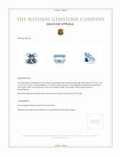 0.74 Ct. Aquamarine from Mozambique Appraisal