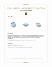 0.74 Ct. Blue Aquamarine from Mozambique Appraisal
