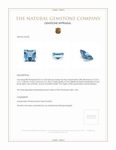 0.14 Ct. Aquamarine from Mozambique Appraisal