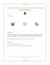 0.39 Ct. Blue Aquamarine from Mozambique Appraisal