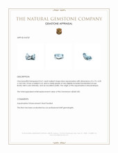 0.61 Ct. Aquamarine from Mozambique Appraisal