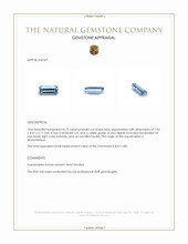 0.72 Ct. Aquamarine from Mozambique Appraisal