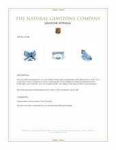 0.74 Ct. Blue Aquamarine from Mozambique Appraisal