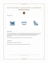 0.74 Ct. Aquamarine from Mozambique Appraisal