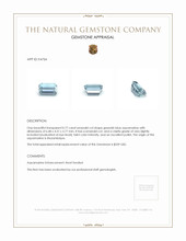 0.77 Ct. Greenish Blue Aquamarine from Mozambique Appraisal