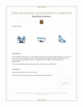 0.77 Ct. Aquamarine from Mozambique Appraisal