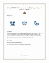 0.79 Ct. Blue Aquamarine from Mozambique Appraisal
