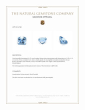 0.79 Ct. Aquamarine from Mozambique Appraisal