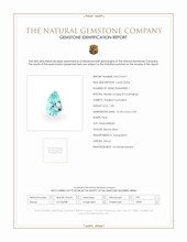 Jewelry Scan Report