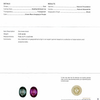 Jewelry Scan Report