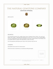 3.66 Ct. Alexandrite from Ceylon (Sri Lanka) Appraisal