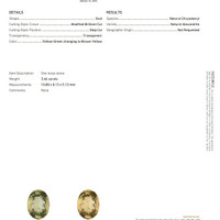 3.66 Ct. Alexandrite from Ceylon (Sri Lanka) Scan Report