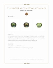 Jewelry Appraisal