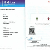 Jewelry Scan Report