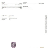 9.01 Ct. Spinel from Ceylon (Sri Lanka) Scan Report