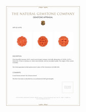 36.81 Ct. Salmon (Orange) Coral from Australia Appraisal