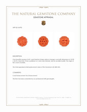36.81 Ct. Salmon (Orange) Coral from Australia Appraisal