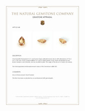 2.21 Ct. Yellowish Brown Zircon from Ceylon (Sri Lanka) Appraisal