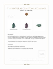Jewelry Appraisal
