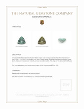 Jewelry Appraisal